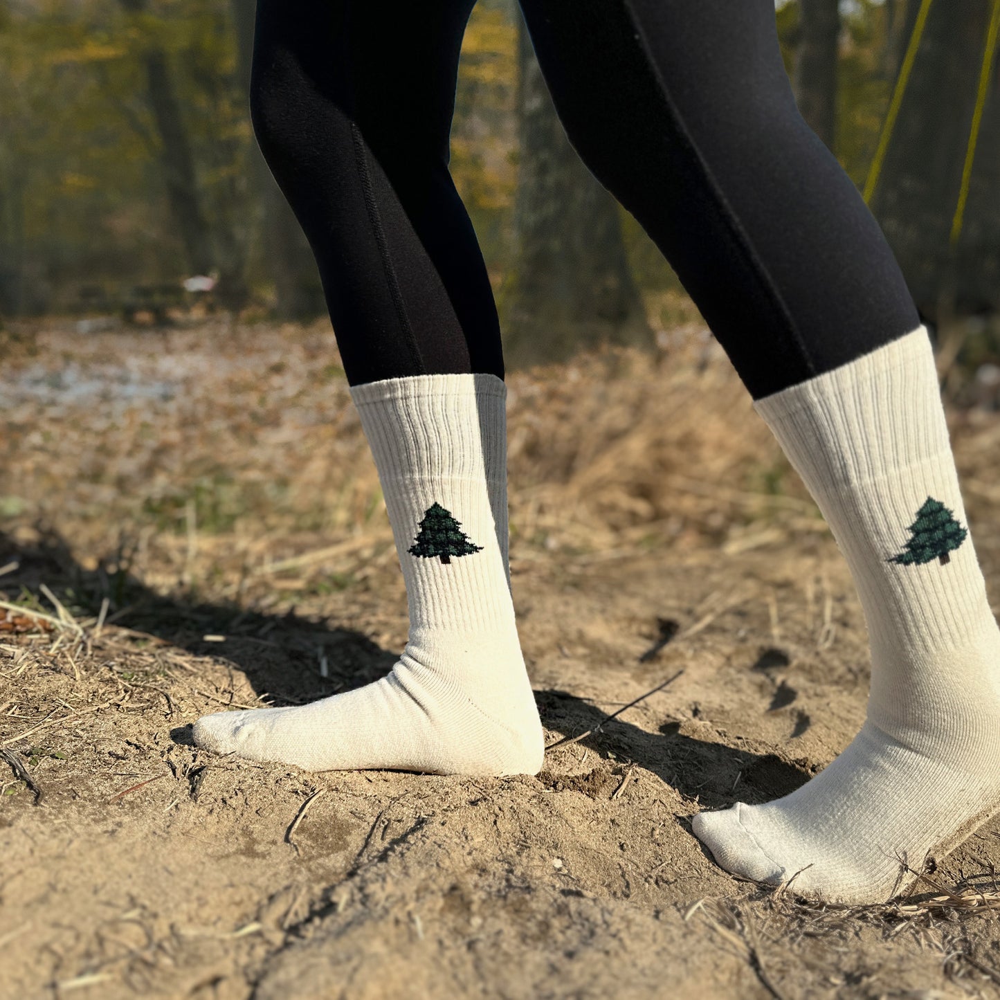 Women's Crew Cushioned Hiking Cotton Socks