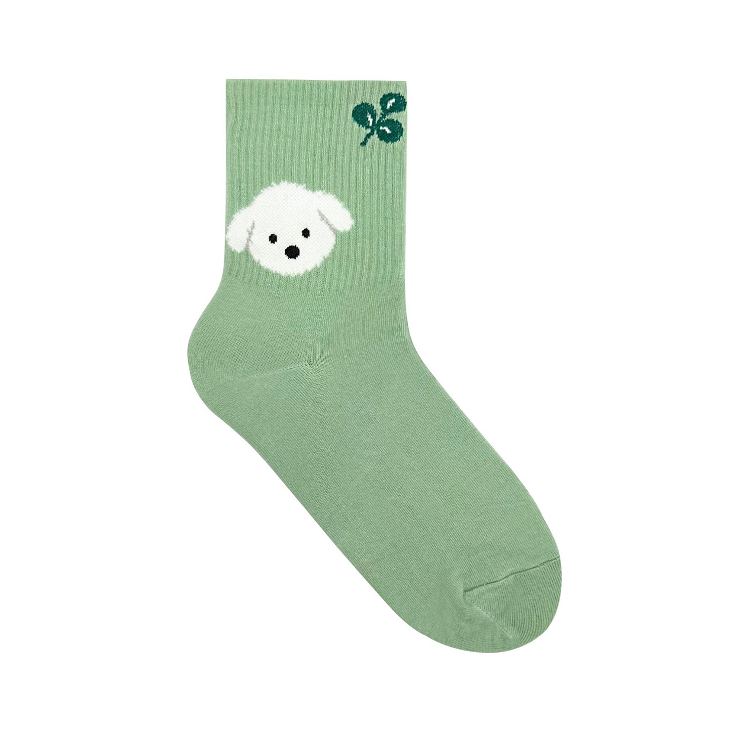Women's Crew Big Band Socks
