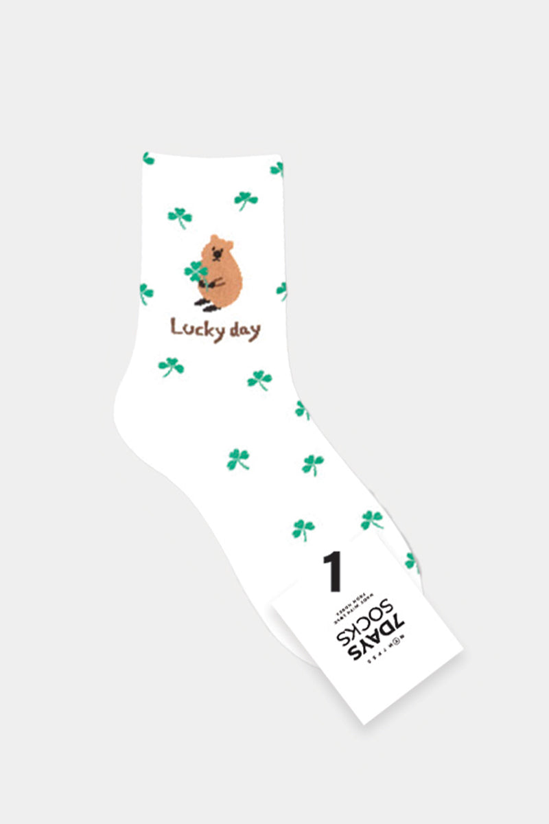 Women's Crew Spring Picnic Socks