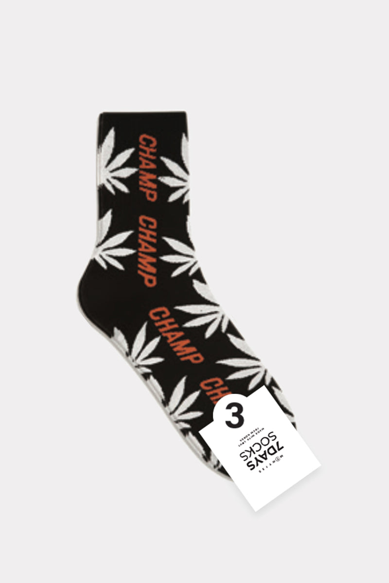 Men's Crew Champ Hemp Socks