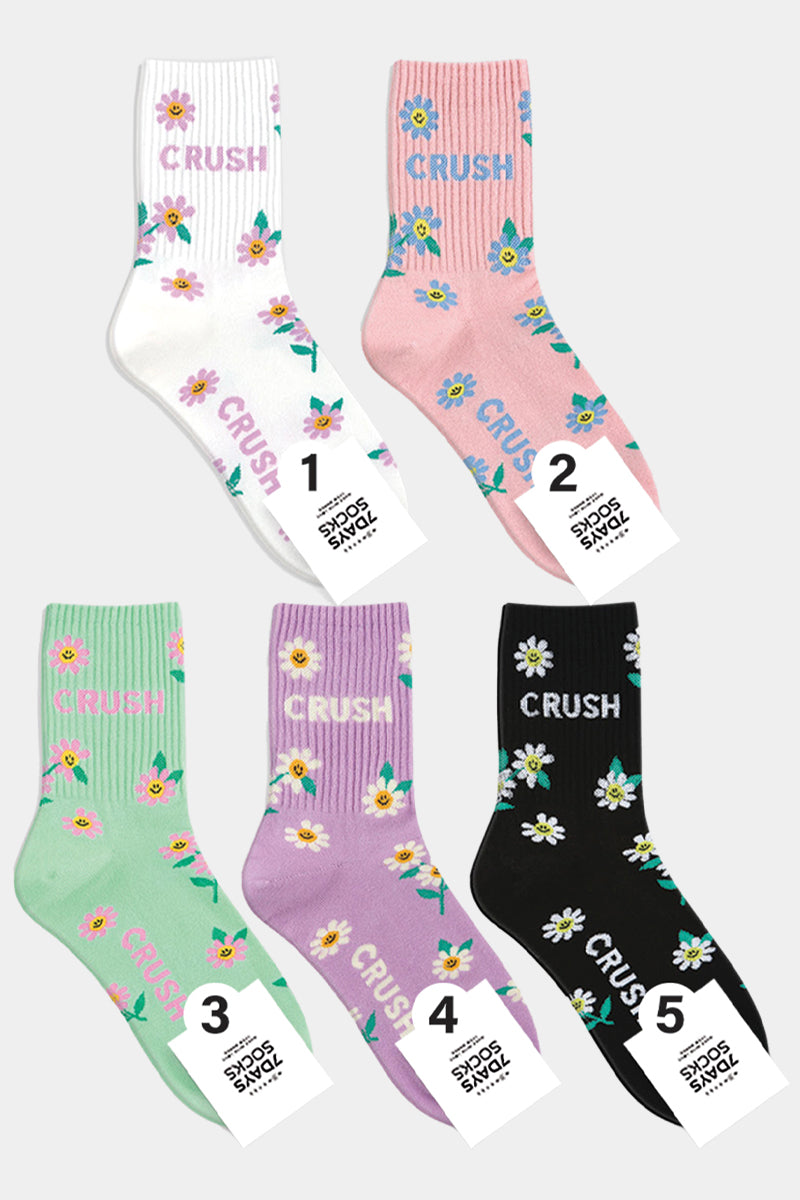 Women's Crew Crush Daisy Socks